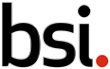BSI Group Inc 